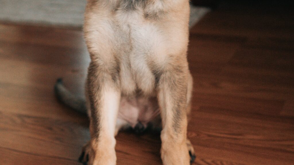 Commonly Confused Words – Too and Very