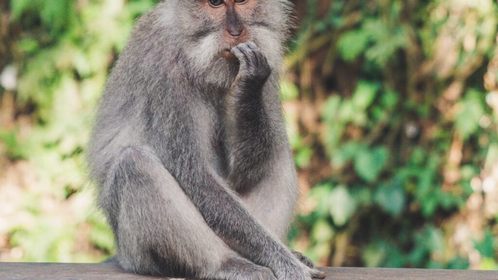 Commonly Confused Words – So and Such