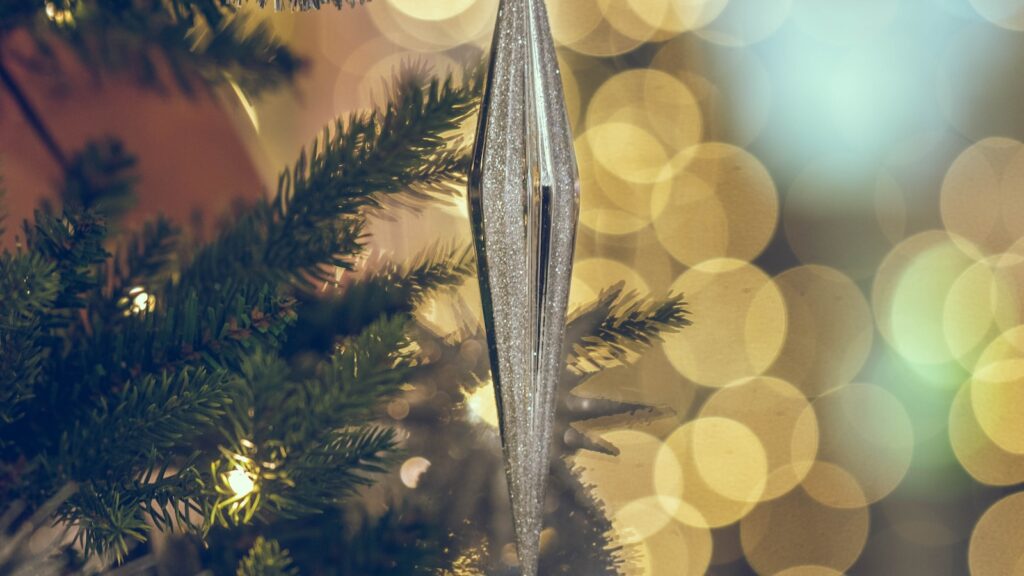 Grammar Andy: Present Perfect