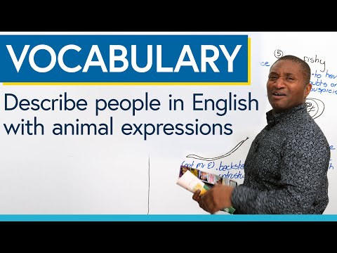 Describe people in English with animal adjectives & idioms: sheepish