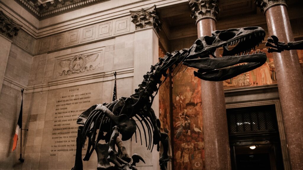 American English Vocabulary: Phrasal Verbs – Come Over and Catch