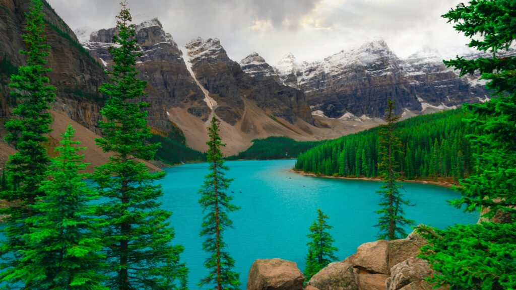 Grammar Andy: Past Perfect