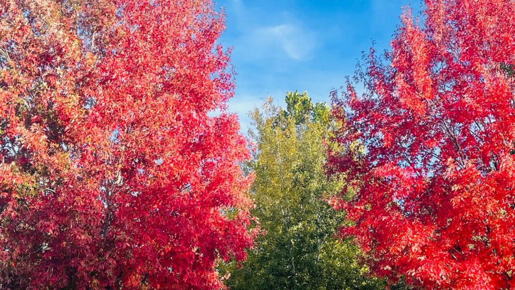 90+ Riddles That’ll Stump You Unless You’re REALLY Smart