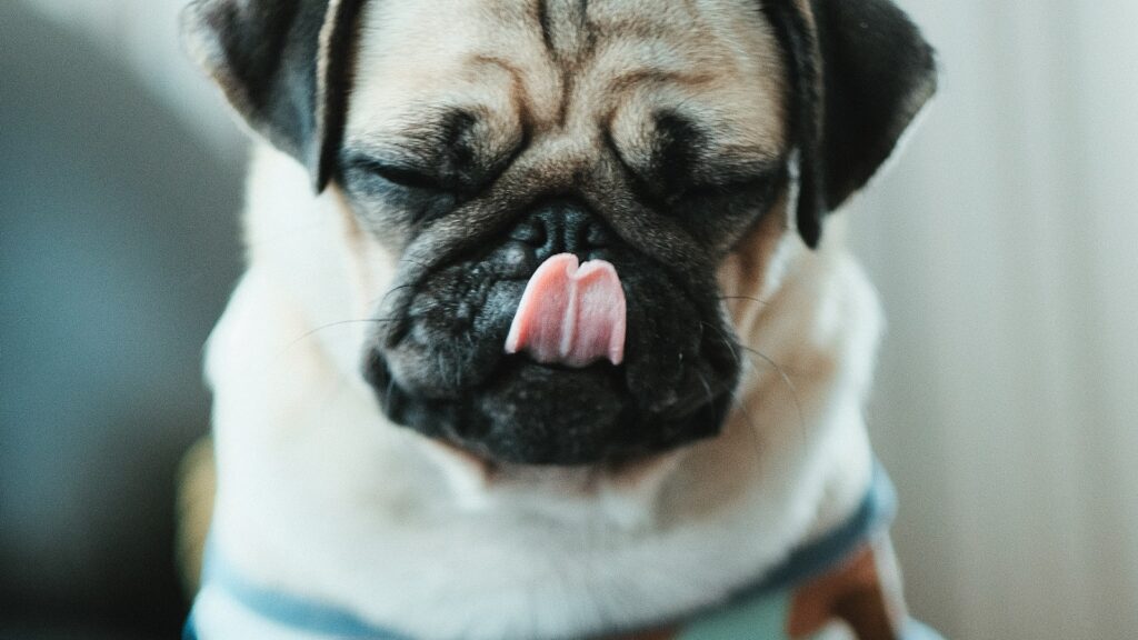 What That’s Really For: 21 Things With Hidden Purposes