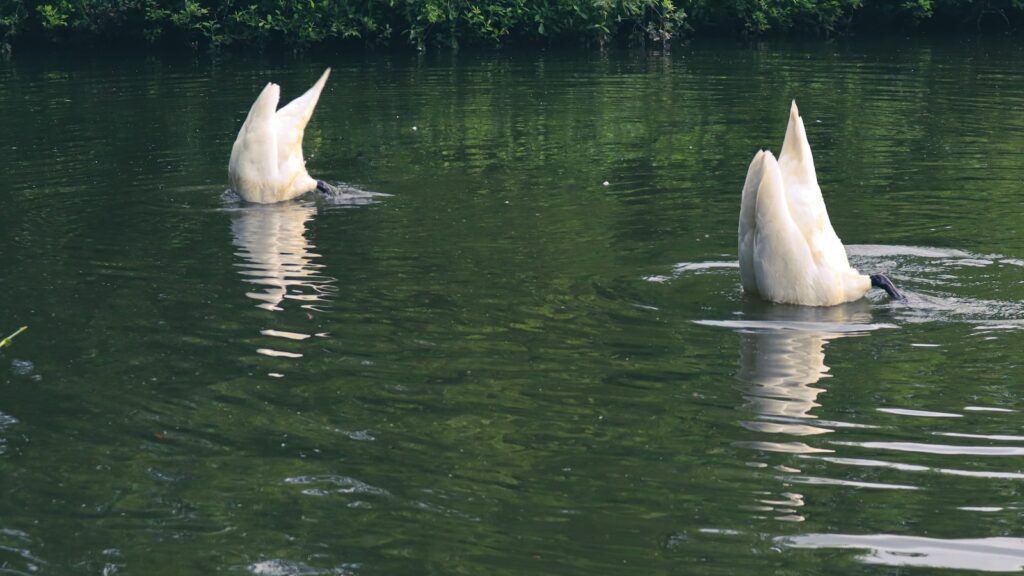 9 Strangest Things Ever Dug Out of the Ground