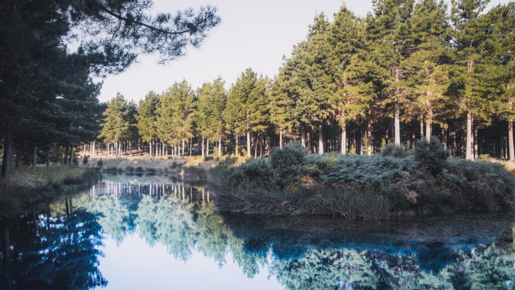 Mystery of Megalodon Island – Cartoon Animation (Episode 1)