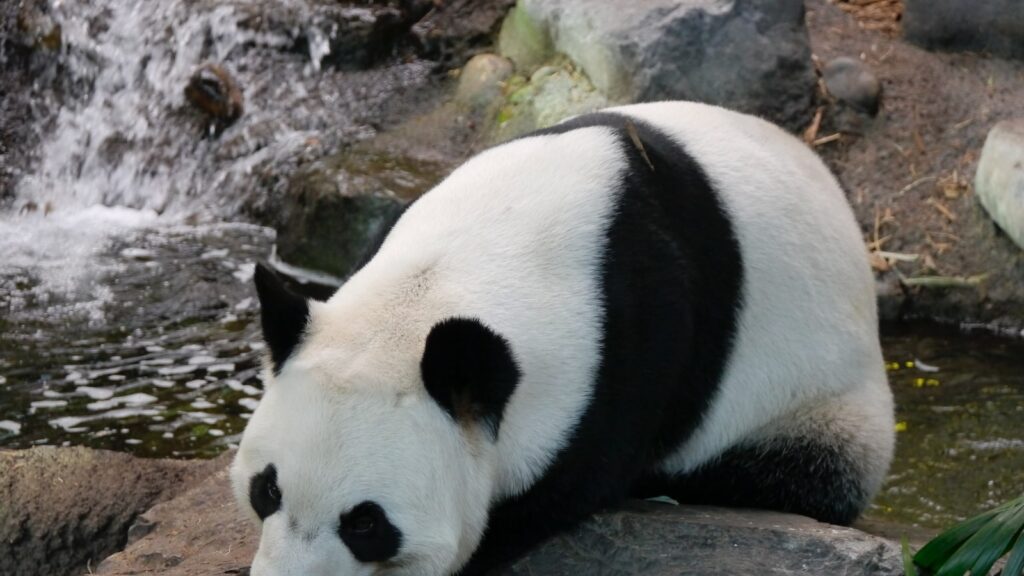 Giant Lego Man: Craziest Things Ever Found On Beaches