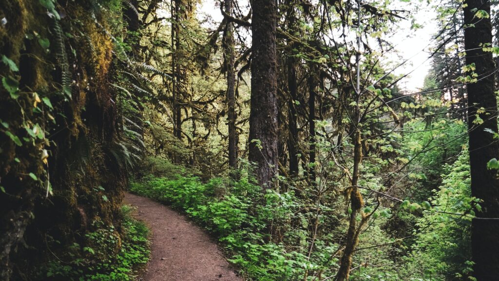 Mysterious Door No One Has Got Open Until Now