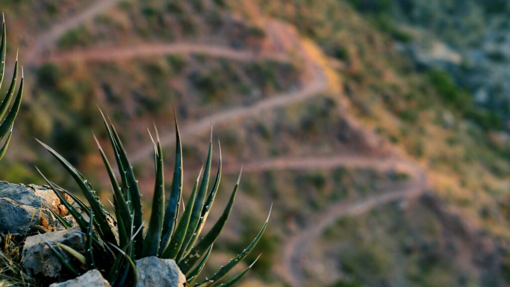 Join the Bright Side Membership!