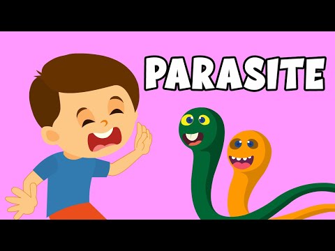 What is a Parasite? | Types of Parasite? | How Parasites Spread? | Symptoms and Treatment