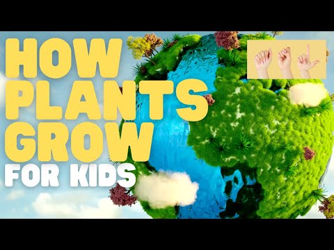 ASL How Plants Grow for Kids
