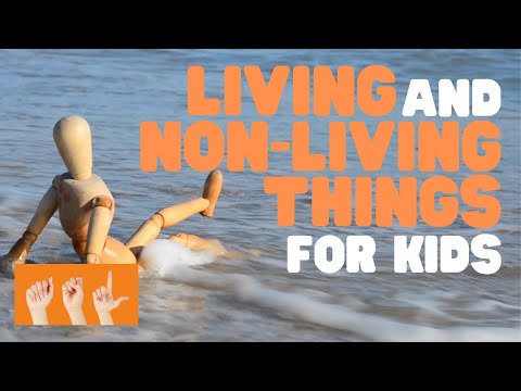 ASL Living and Non-living Things for Kids