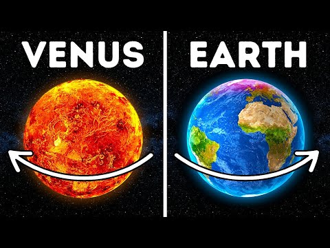 Why Venus Spins in the Wrong Direction