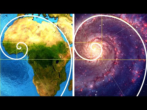 Why Our World Is Filled with Spirals