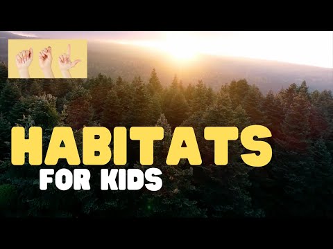 ASL Habitats for Kids
