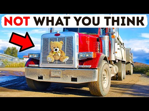 Why Some Trucks Have Stuffed Animals on Their Fronts and 20+ Cool Facts