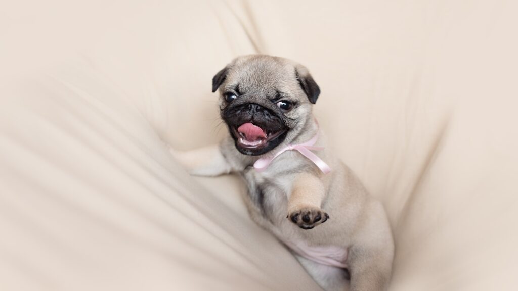 Tricksy Tongue Twisters: Perfecting Your English Pronunciation”!