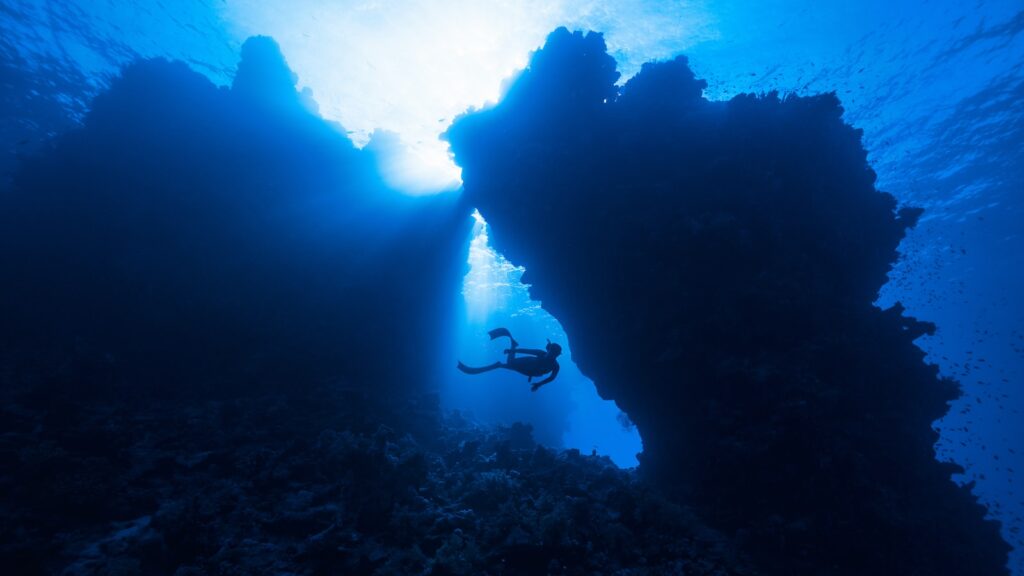 Exploring the Path of Non-Native English Acquisition