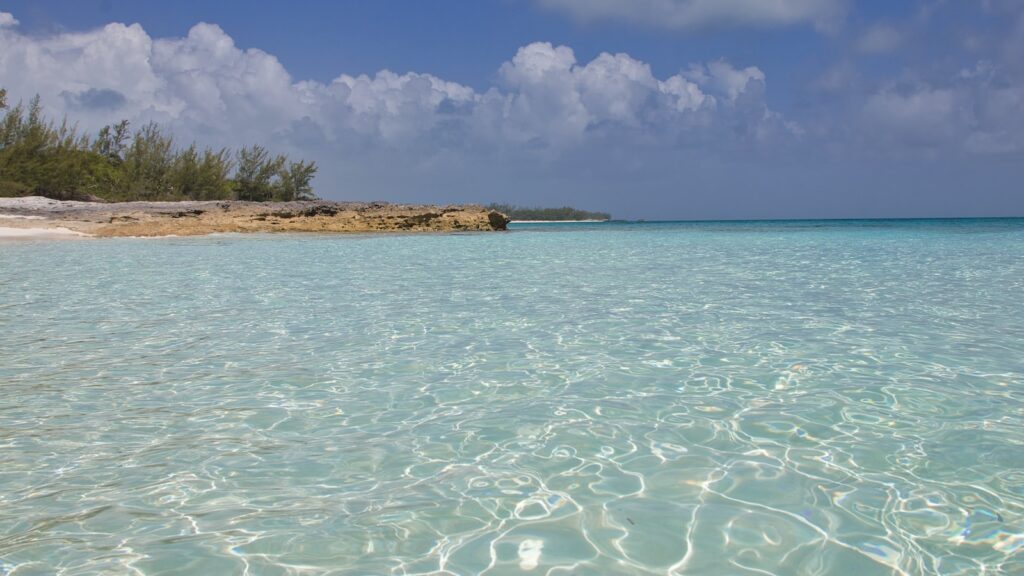 Talkin’ Twisters: English Pronunciation Perfection Practice