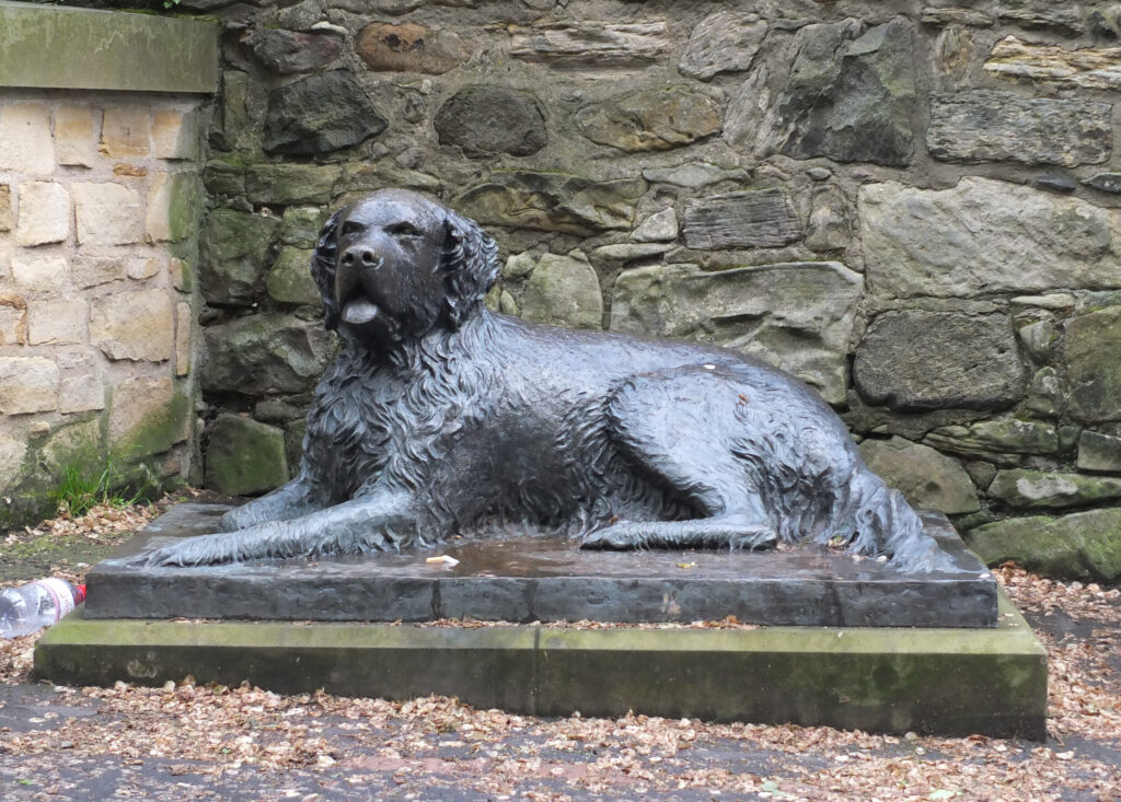 Twisting Your Tongue for Perfect Pronunciation in English