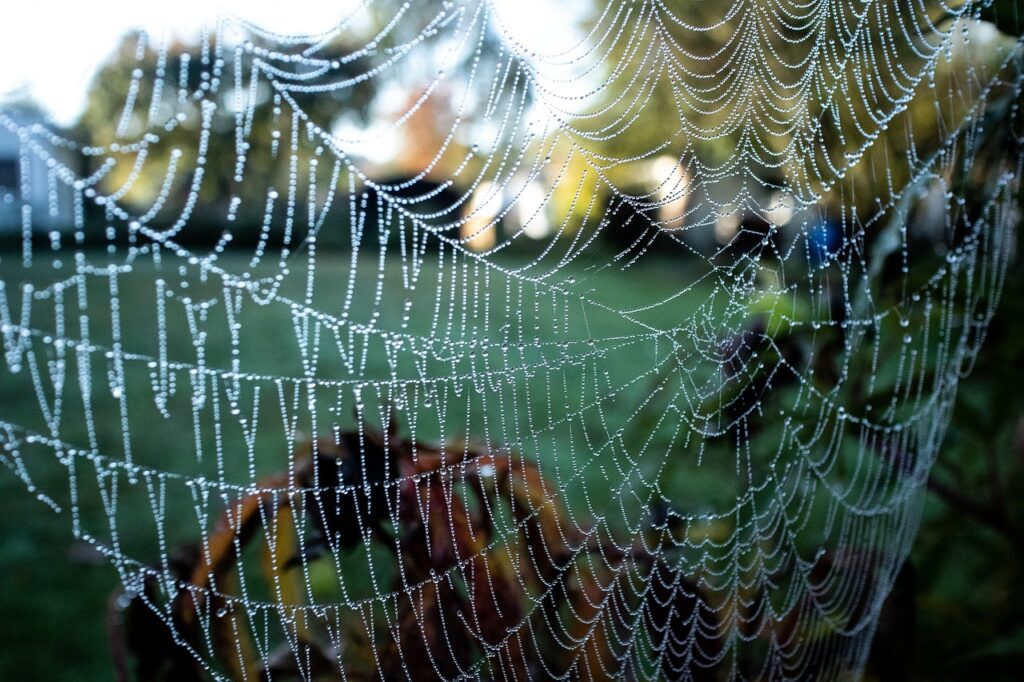 Unraveling English Pronunciation: A Fun Guide to Mastering Tongue Twisters