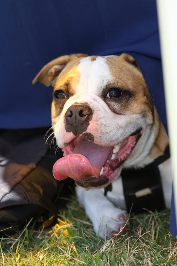 Say it Smoothly: How Tongue Twisters Can Help Refine Your English Pronunciation