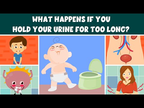 What if you hold your urine for too long? – Is it safe to hold your pee? – Learning Junction