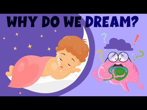 Why Do We Dream? – Sleep and Dreams: How do they work? – Learning Junction