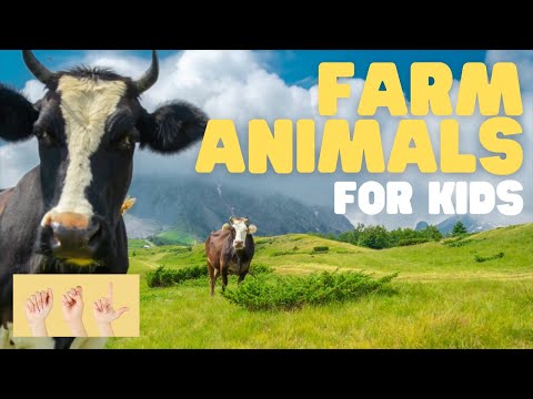 ASL Farm Animals for Kids