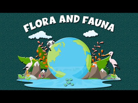 Flora & Fauna: Definition, Importance, Types & Examples – Learning Junction