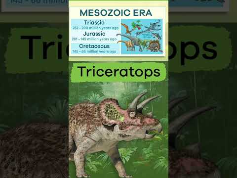 Dinosaur Facts for Kids | #shorts