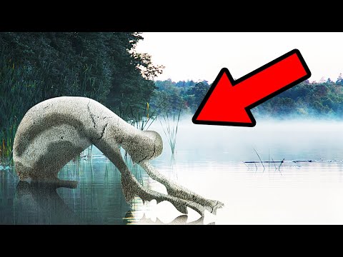 Spooky Things Discovered in Swamps And Other Creepy Mysteries