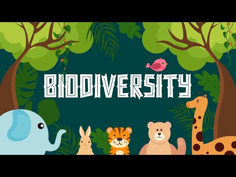 What Is Biodiversity? – Definition, Types And Importance – Biological diversity – Learning Junction