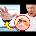 What If 1,000 Mosquitos Bit You + Other Wild What-Ifs